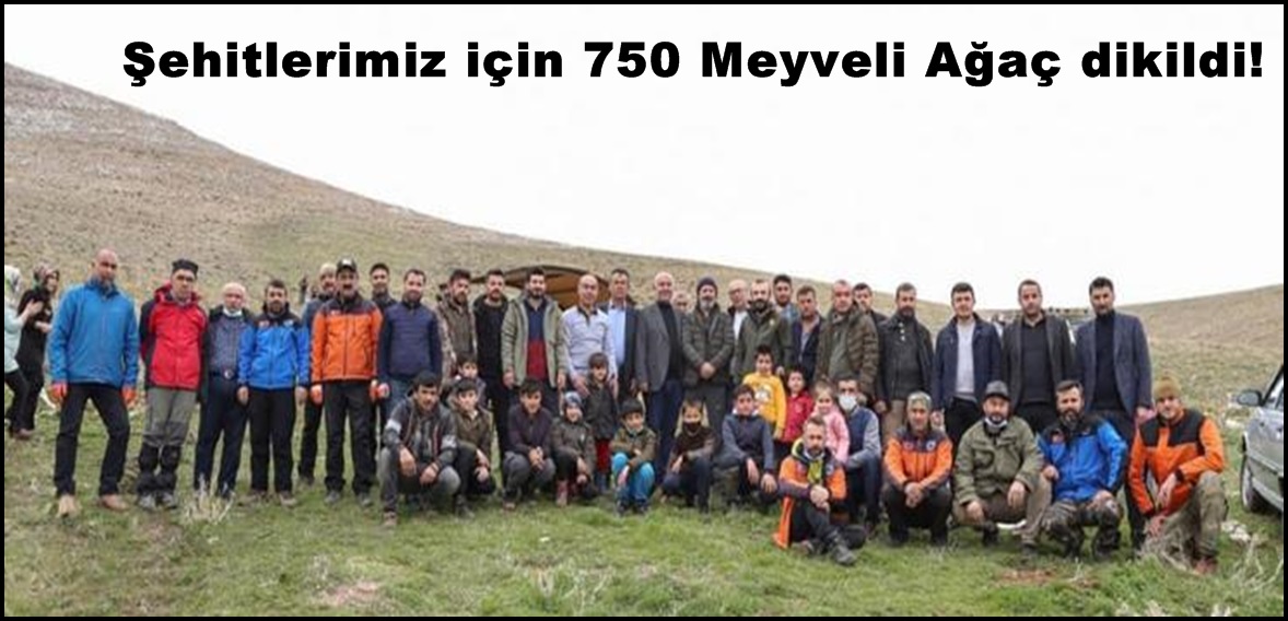 Şehitlerimiz için 750 Meyveli Ağaç dikildi!