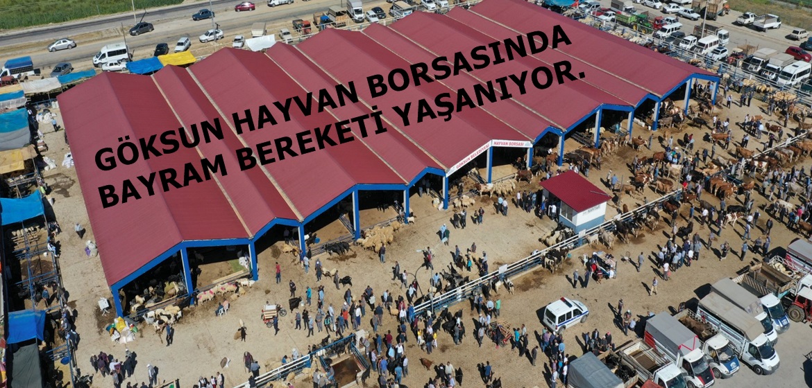 GÖKSUN HAYVAN BORSASINDA BAYRAM BEREKETİ YAŞANIYOR.