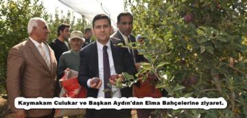 Kaymakam Culukar ve Başkan Aydın’dan Elma Bahçelerine ziyaret.