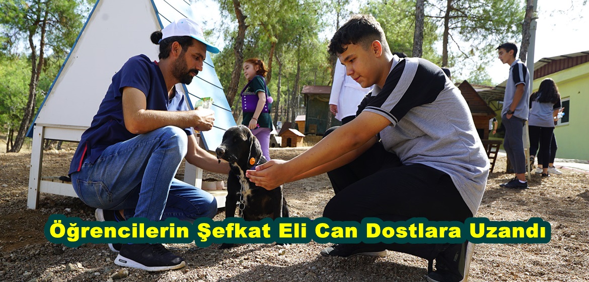 Öğrencilerin Şefkat Eli Can Dostlara Uzandı.