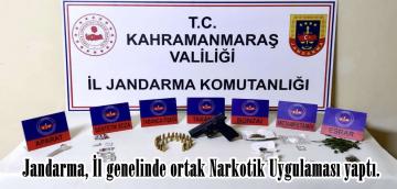 Jandarma, İl genelinde ortak Narkotik Uygulaması yaptı.