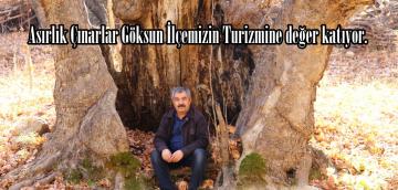 Asırlık Çınarlar Göksun İlçemizin Turizmine değer katıyor.