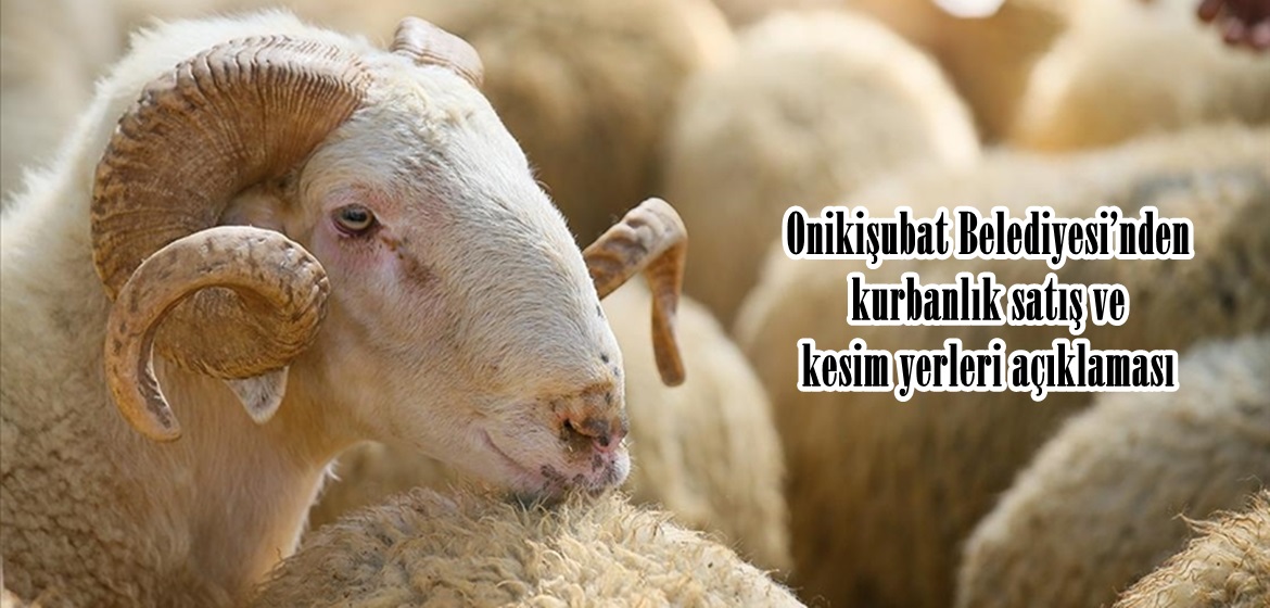 Onikişubat Belediyesi’nden kurbanlık satış ve kesim yerleri açıklaması