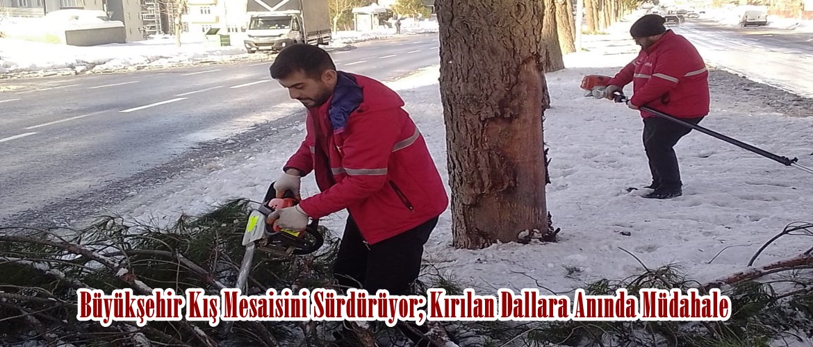 Büyükşehir Kış Mesaisini Sürdürüyor; Kırılan Dallara Anında Müdahale.