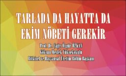 9hı